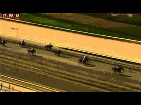 Resumen del domingo 17 de mayo hipodromo la rinconada