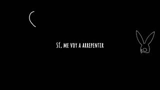 Sia Ft. Ariana Grande - Quit [Sia's Version/Demo] (Sub español) (Letra)