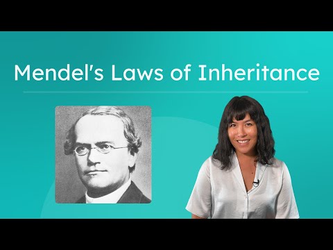 Mendel's Laws of Inheritance - Understanding Dominant and Recessive Traits