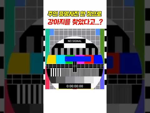 주인 증명사진 한 장으로 강아지를 찾았다고…?