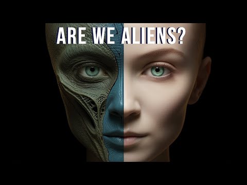 Hundreds Of Stars Have Disappeared From The Sky Where Have They Gone