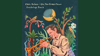Oh, You Crazy Moon (Ornithology Remix)