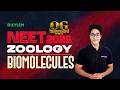 NEET 2026 Zoology BIOMOLECULES Xylem NEET