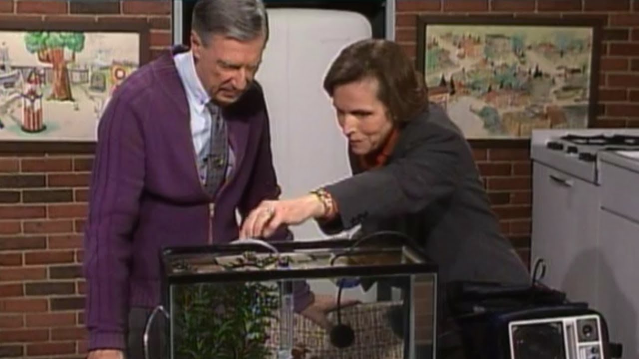 Mister Rogers’ Fish Secret: Why He Always Said He Was Feeding Them ...