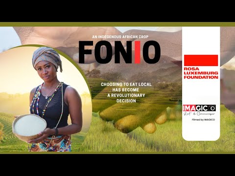 FONIO, an old 'new' African Superfood