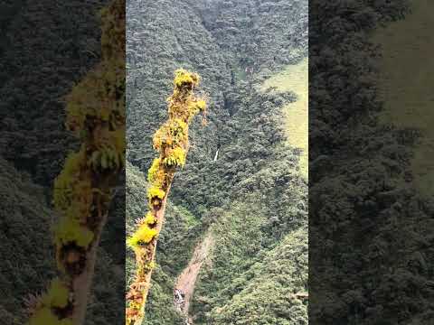San turban, cascada natural, arboledas, Norte De Santander #travel #turismo #nature #agua