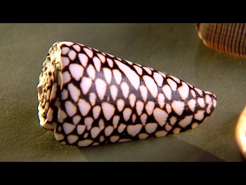 Schulfilm: 360° - die GEO-Reportage - ABC des Universums (Schulfilm-Vorschau)