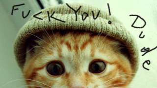 ich mach mein friedn mit euch