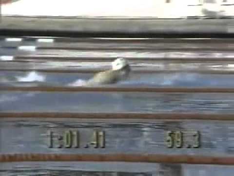 1984 Olympic Women's 200m Butterfly final   Mary T Meagher.wmv