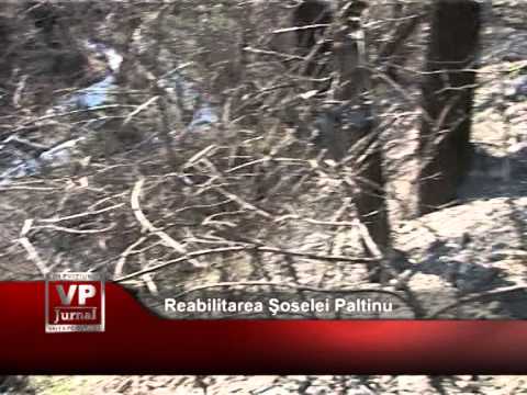 Se pregăteşte reabilitarea Şoselei Paltinu