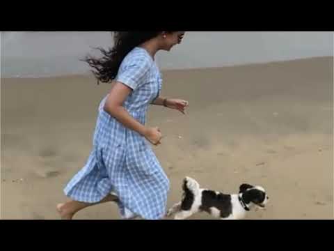 Keerthi suresh picnic mood with her puppy beach side💕