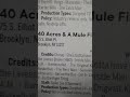 40 ACRES A MULE FILMWORKS