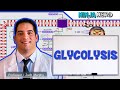 Metabolism | Glycolysis