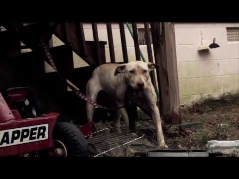 Tity Boi - Goin Thru it (Official Video)