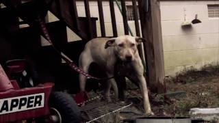 Tity Boi - Goin Thru it (Official Video)