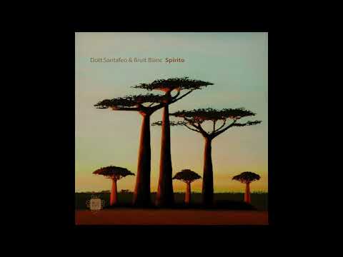 Dott.Santafeo & Bruit Blanc - Spirito (Deemkeyne Remix)