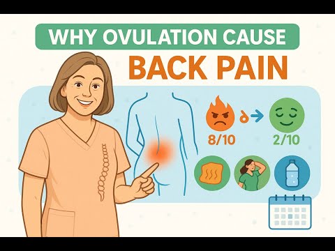 Ovulation Back Pain: Causes, Symptoms & Relief Tips | SelfLove Science