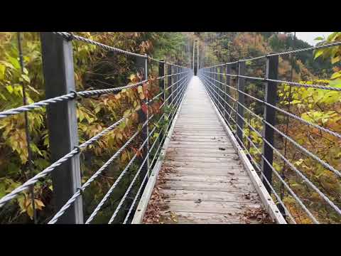 紅葉の白水の滝へ