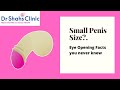 Small Penis Size What Is Normal Penis Size Small Penis Size Treatment