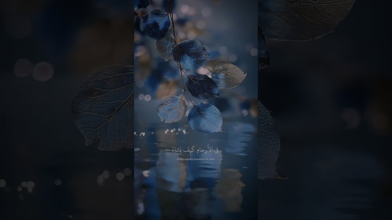 "لا يخفى عليه شيء في الأرض ولا في السماء".. رسالة الطمأنينة بقدرة الله وعلمه ✨🌍