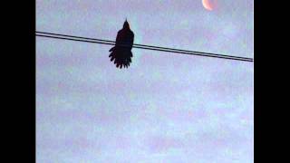 Kirk Knight - &quot;Take That&quot; (Prod. by Kirk Knight)