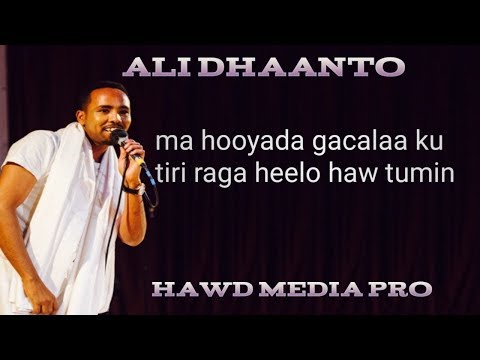 Cali dhaanto waa heeskii macaanaa habeen walba meel hadaas badaniyo ma hoodaan uyeeshey heelladan