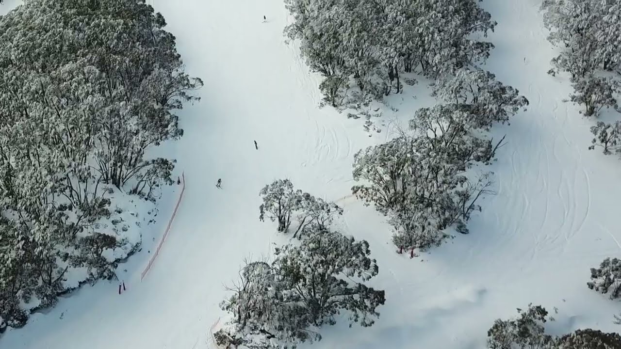 Mt Baw Baw Live 2