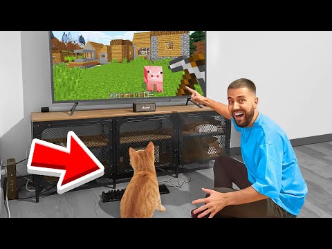 DIABOLO -  I taught my CAT to PLAY Minecraft!  (I succeeded)