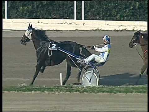 Trotto 08/12/2015 - 2° corsa