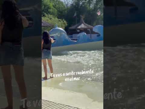 Video de Cabaas Camelias Blancas