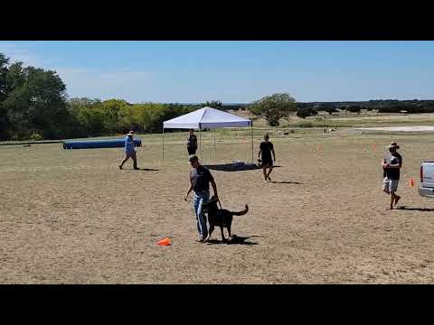 Jasper z Atarova Sadu PSA 1 Trial 2022 Protection Surprise Attack