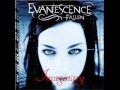 Evanescence- Imaginary (original version) 