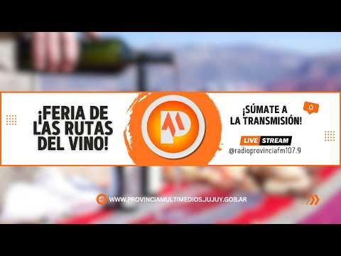 FERIA DE LAS RUTAS DEL VINO🔴#provinciamultimedios 🔴21/05/26