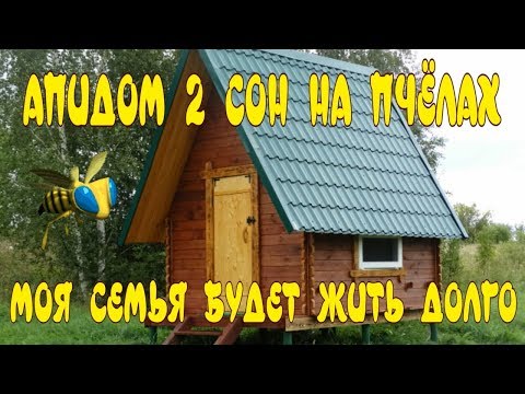 АПИДОМ СВОИМИ РУКАМИ. СТРОИТЕЛЬСТВО АПИДОМА. СОН НА ПЧЁЛАХ. НА 1000 000 ПЧЁЛ БОЛЬШЕ.