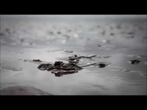 Rokkez - Wunderschön