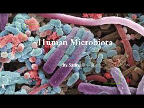 Human Microbiota: How Microbiome Affects Our Brain, Digestion And Body