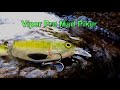 Viper Pro Mad Piker 13,50cm Rainbow Trout Hecht Wobbler 13,5cm - Rainbow Trout - 43g - 1Stück