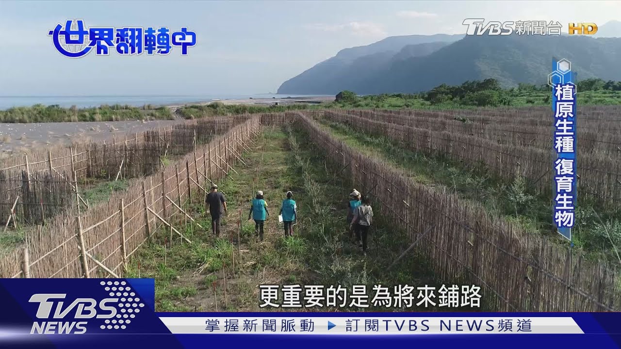 森林護水土、造紅利 首座公民森林登國際