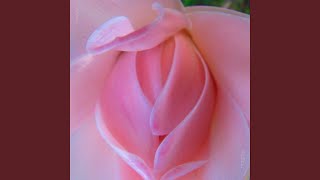 Fragility