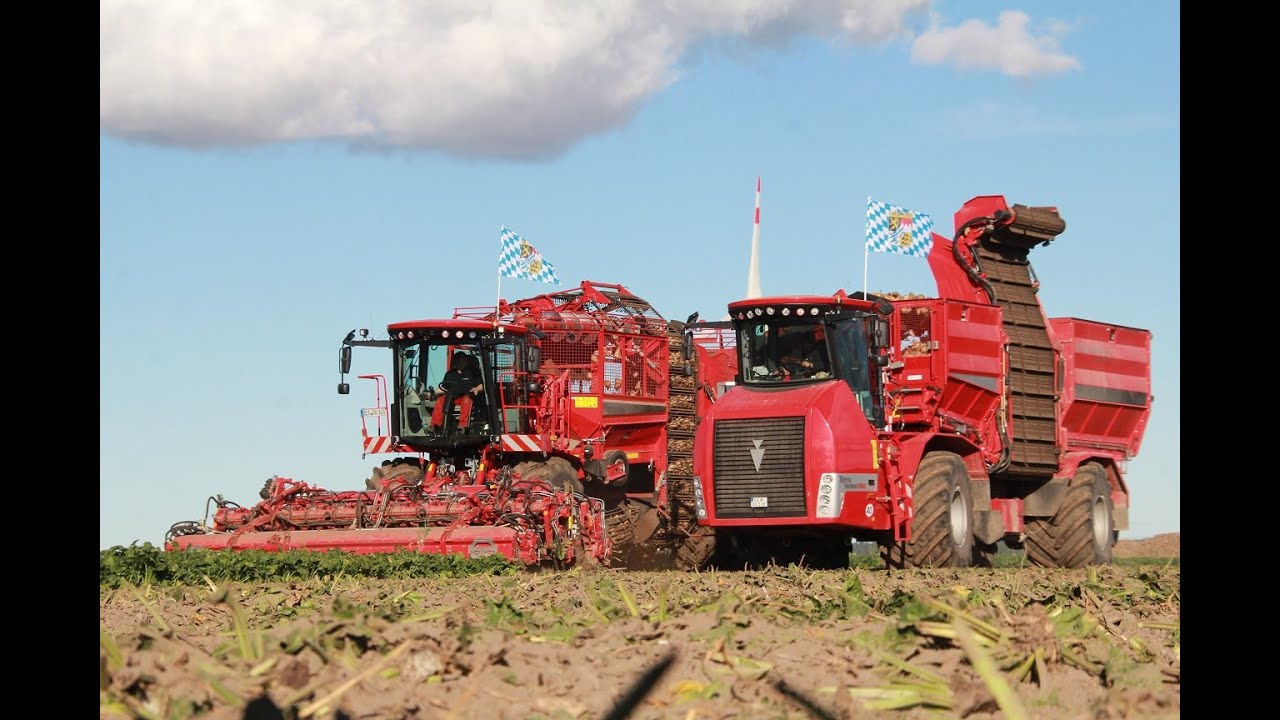 Holmer Terra Dos holt Weltrekord in der Rübenernte [Der Film]