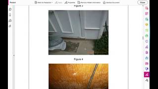 1-800-GOT-MOLD? | Basement & Crawlspace | Case Study