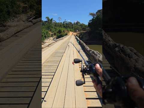 ponte sobre o rio branco mato Grosso #pescaria #pesca #fishing #peixe #pescador
