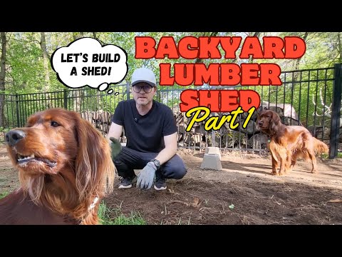 Firewood Shed Foundation Build | Leveling, Blocking & Dog Motivation Pt. 1