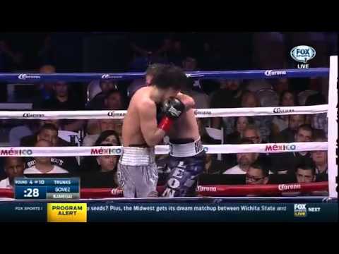 Alfonso Gomez vs. Yoshihiro Kamegai