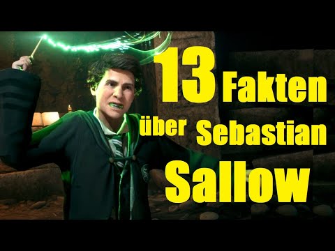 13 FAKTEN über SEBASTIAN SALLOW 🐍