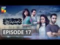 Tajdeed e Wafa Episode #17 HUM TV Drama 13 January 2019