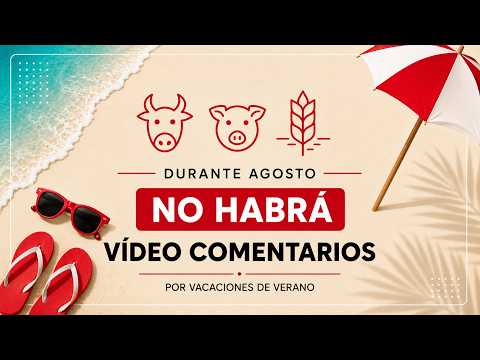 VACACIONES DE VERANO