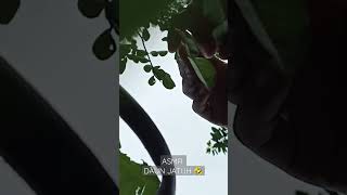 Download lagu SOUND ON ‼️ASMR DAUN JATUH ‼️ mp3 Download lagu SOUND ON ‼️ASMR DAUN JATUH ‼️ mp3