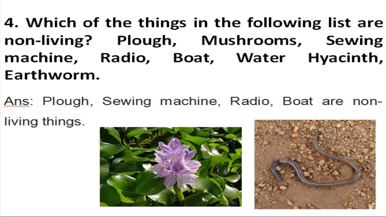 NCERT Solutions Class 6 SCIENCE Chapter 9 - The Living Organisms Characteristics and Habitats