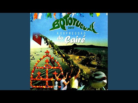 Farinhada - Boto Tucuxi